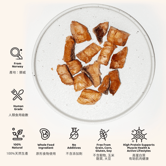 Freeze Dried Salmon 凍乾鮭魚粒 - Slow Walker Store