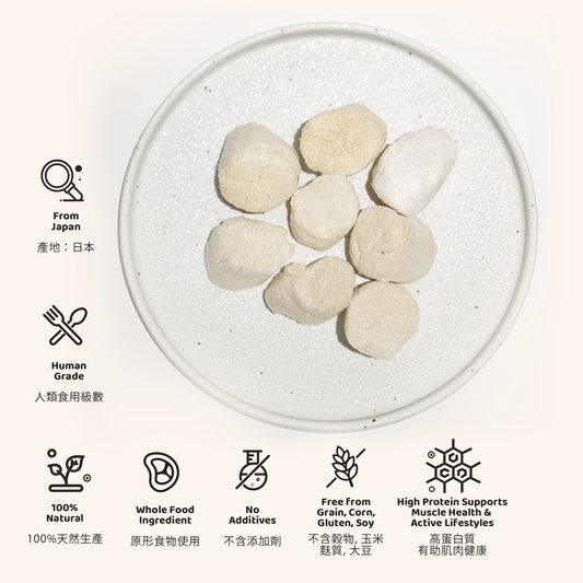Freeze Dried Scallop 凍乾原粒扇貝 - Slow Walker Store