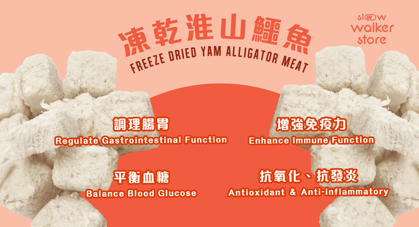 Freeze Dried Yam Alligator Meat 凍乾淮山鱷魚肉粒 - Slow Walker Store
