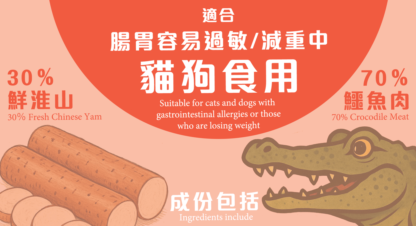 Freeze Dried Yam Alligator Meat 凍乾淮山鱷魚肉粒 - Slow Walker Store