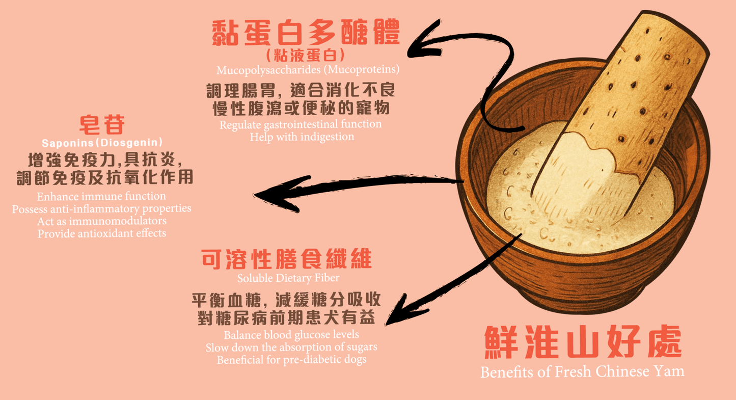 Freeze Dried Yam Alligator Meat 凍乾淮山鱷魚肉粒 - Slow Walker Store