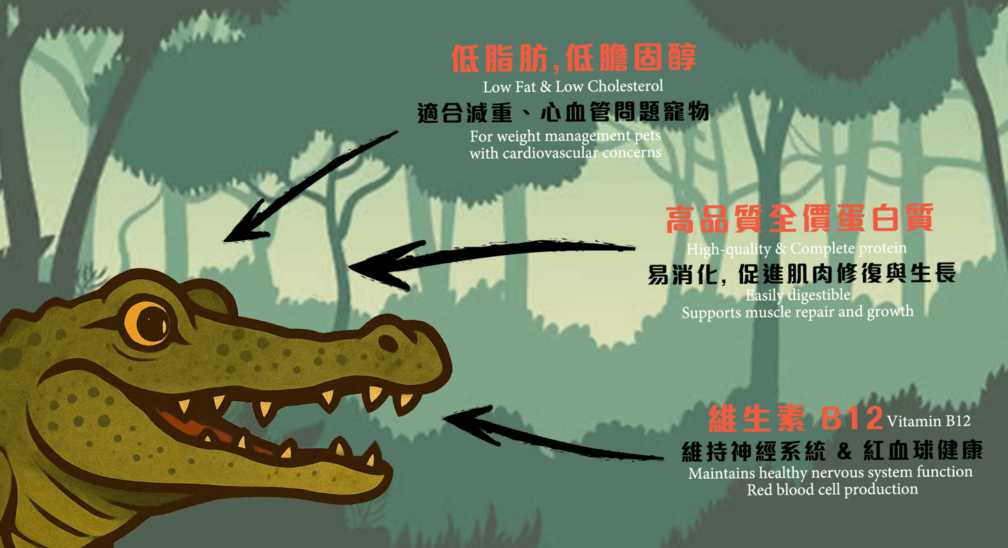 Freeze Dried Yam Alligator Meat 凍乾淮山鱷魚肉粒 - Slow Walker Store