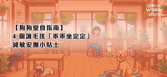 【狗狗堂食指南】帶狗出街食飯不失禮！4 個讓毛孩在餐廳「乖乖坐定定」的減敏與安撫小貼士 - Slow Walker Store