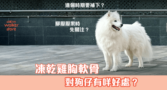 凍乾雞胸軟骨｜狗狗關節保養零食推薦 - Slow Walker Store