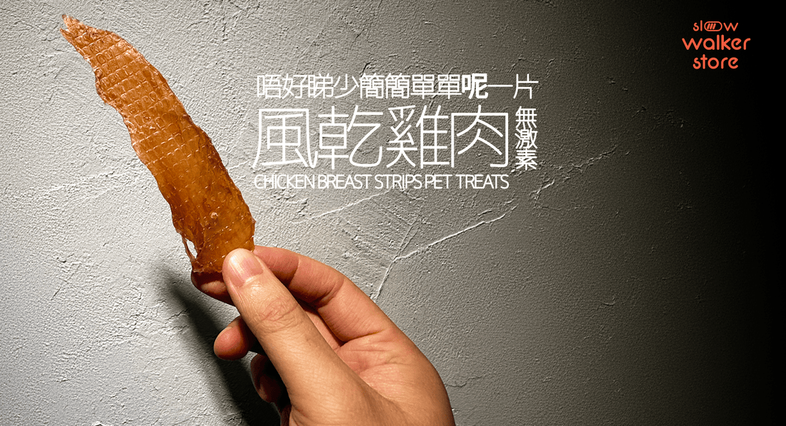 無激素雞肉片｜天然寵物零食推薦｜訓練狗狗必備小食 - Slow Walker Store