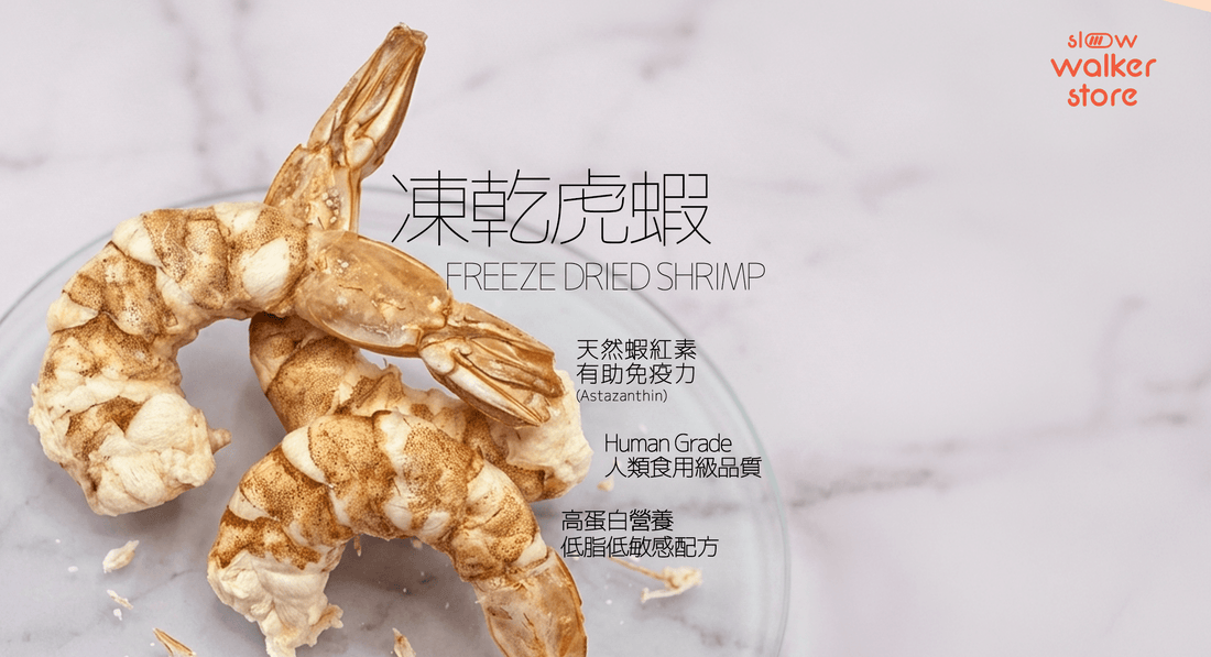 凍乾虎蝦｜高蛋白天然寵物零食推薦｜提升免疫力之選 - Slow Walker Store