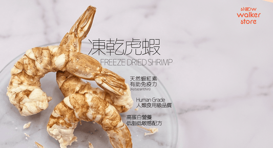 凍乾虎蝦｜高蛋白天然寵物零食推薦｜提升免疫力之選 - Slow Walker Store