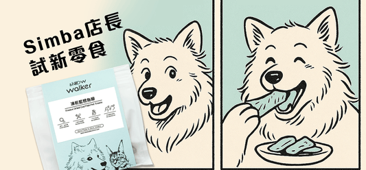 Simba店長 試新零食 Freeze Dried Cod Fish 凍乾藍鱈魚柳 - Slow Walker Store