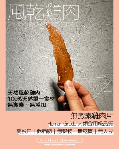 Chicken Breast Strips Pet Treats 風乾無激素雞肉片 - Slow Walker Store