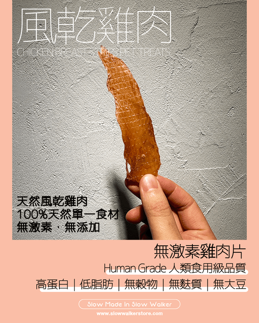 Chicken Breast Strips Pet Treats 風乾無激素雞肉片 - Slow Walker Store