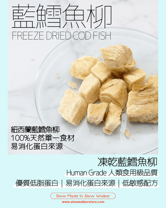 Freeze Dried Cod Fish 凍乾藍鱈魚柳 - Slow Walker Store
