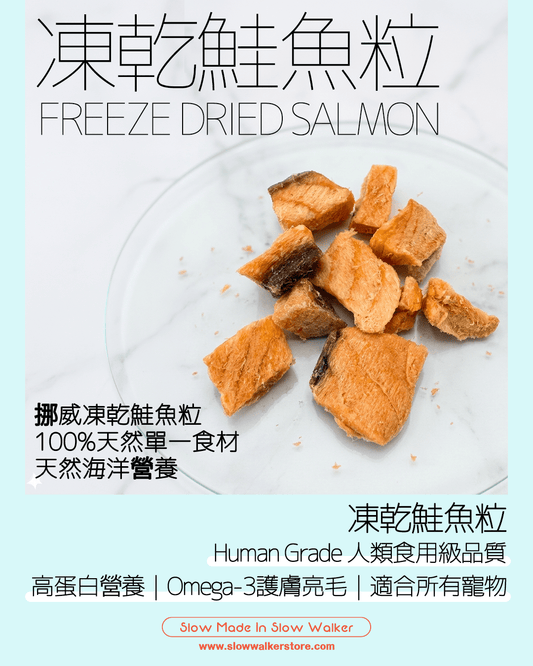 Freeze Dried Salmon 凍乾鮭魚粒 - Slow Walker Store