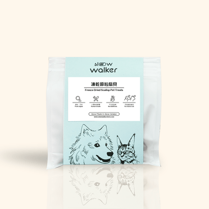 Freeze Dried Scallop 凍乾原粒扇貝 - Slow Walker Store