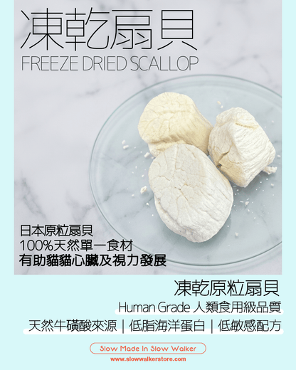 Freeze Dried Scallop 凍乾原粒扇貝 - Slow Walker Store