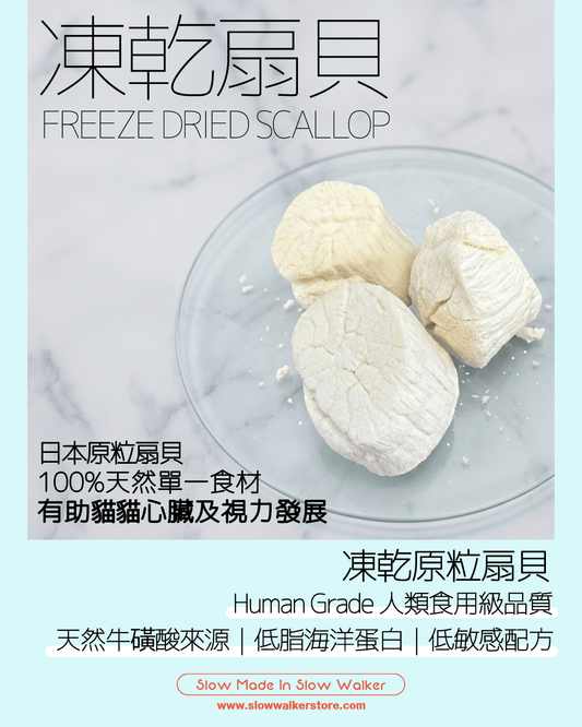 Freeze Dried Scallop 凍乾原粒扇貝 - Slow Walker Store