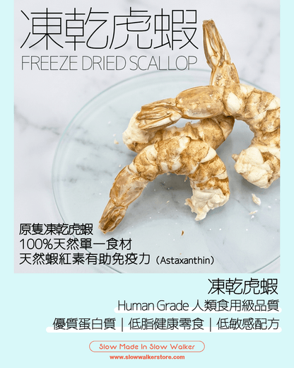 Freeze Dried Shrimp 凍乾虎蝦 - Slow Walker Store