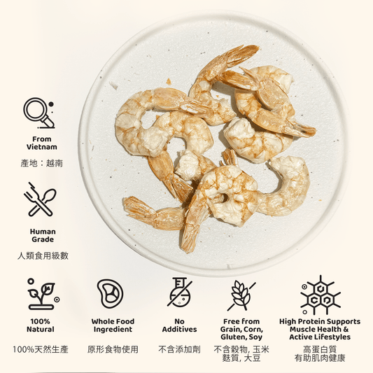 Freeze Dried Shrimp 凍乾虎蝦 - Slow Walker Store