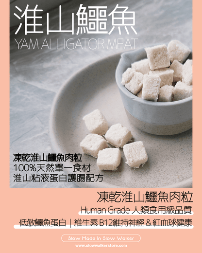 Freeze Dried Yam Alligator Meat 凍乾淮山鱷魚肉粒 - Slow Walker Store
