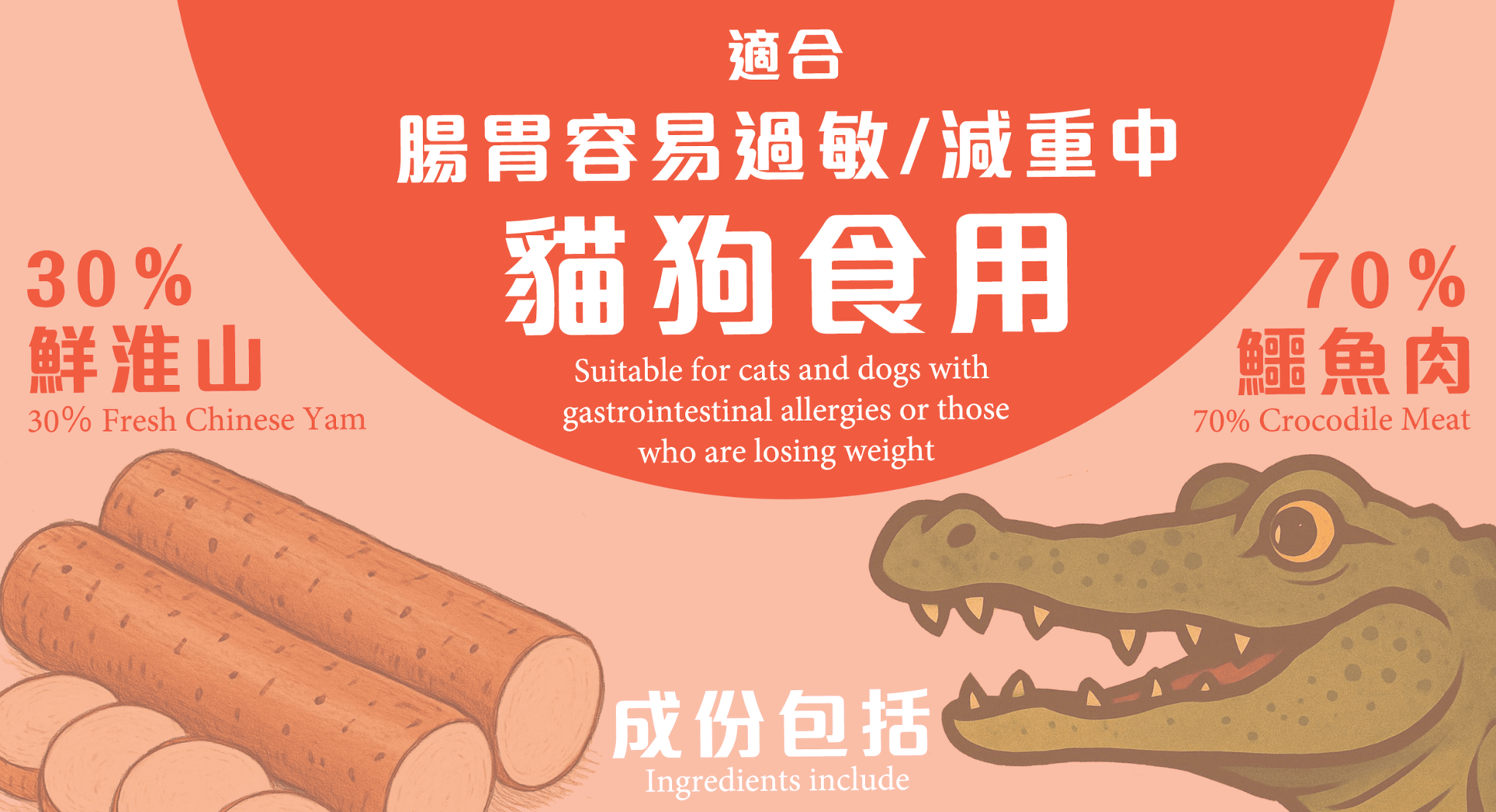 Freeze Dried Yam Alligator Meat 凍乾淮山鱷魚肉粒 - Slow Walker Store