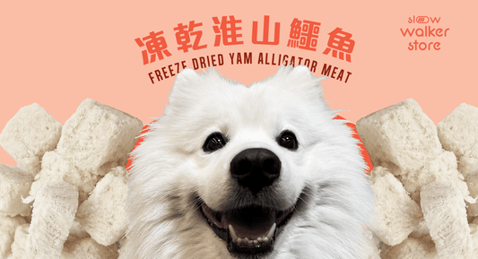 Freeze Dried Yam Alligator Meat 凍乾淮山鱷魚肉粒 - Slow Walker Store