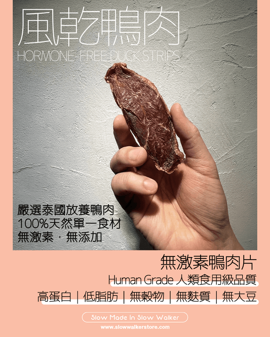 Hormone - Free Duck Strips 風乾無激素鴨肉片 - Slow Walker Store
